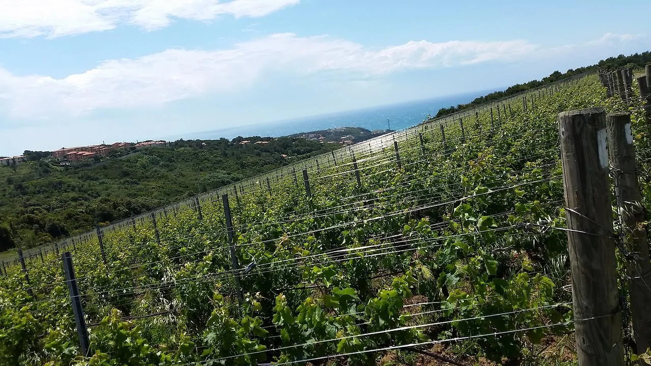 Villa Casale Del Mare Castiglioncello Bauernhof